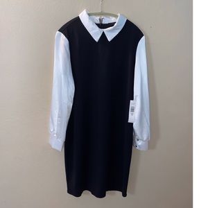 Black shift dress (973)